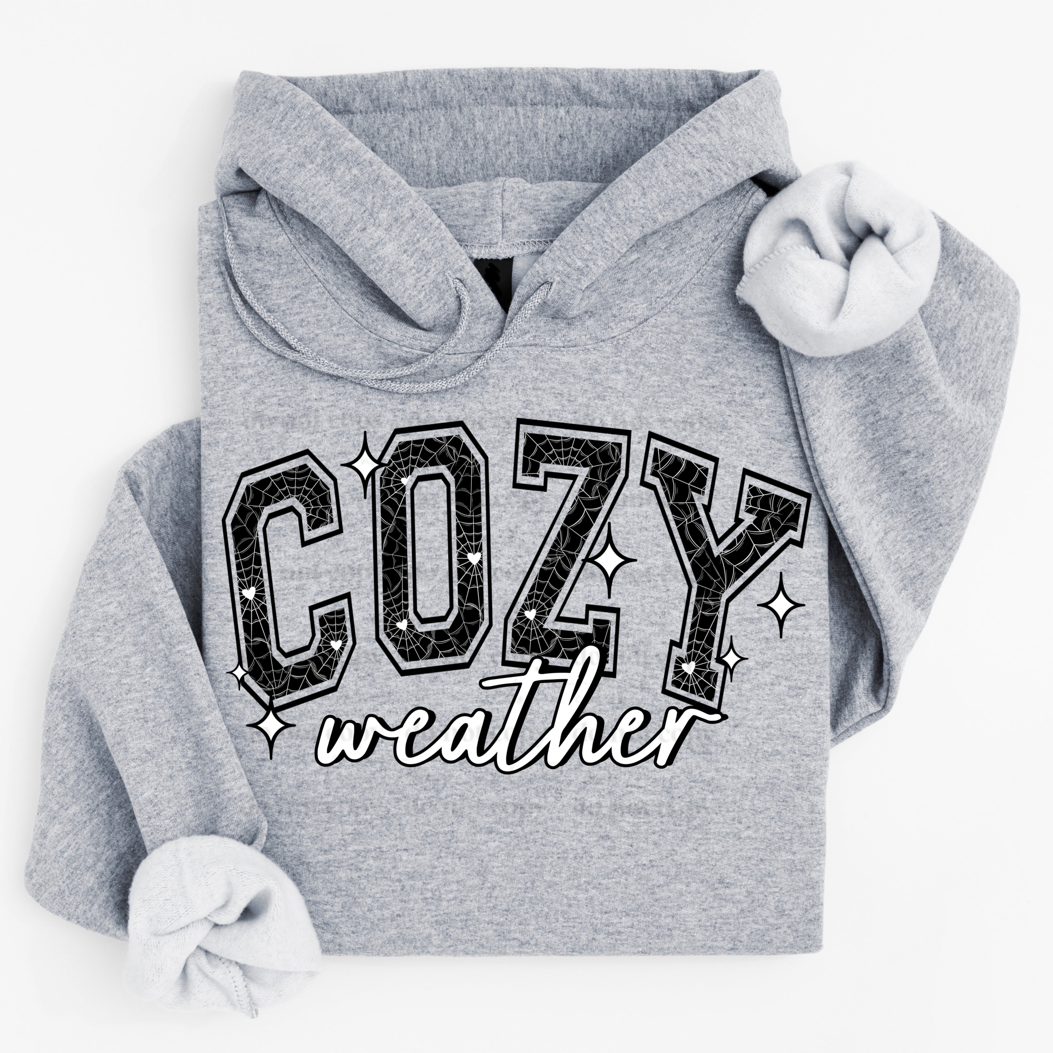 COZY WEBS HOODIE