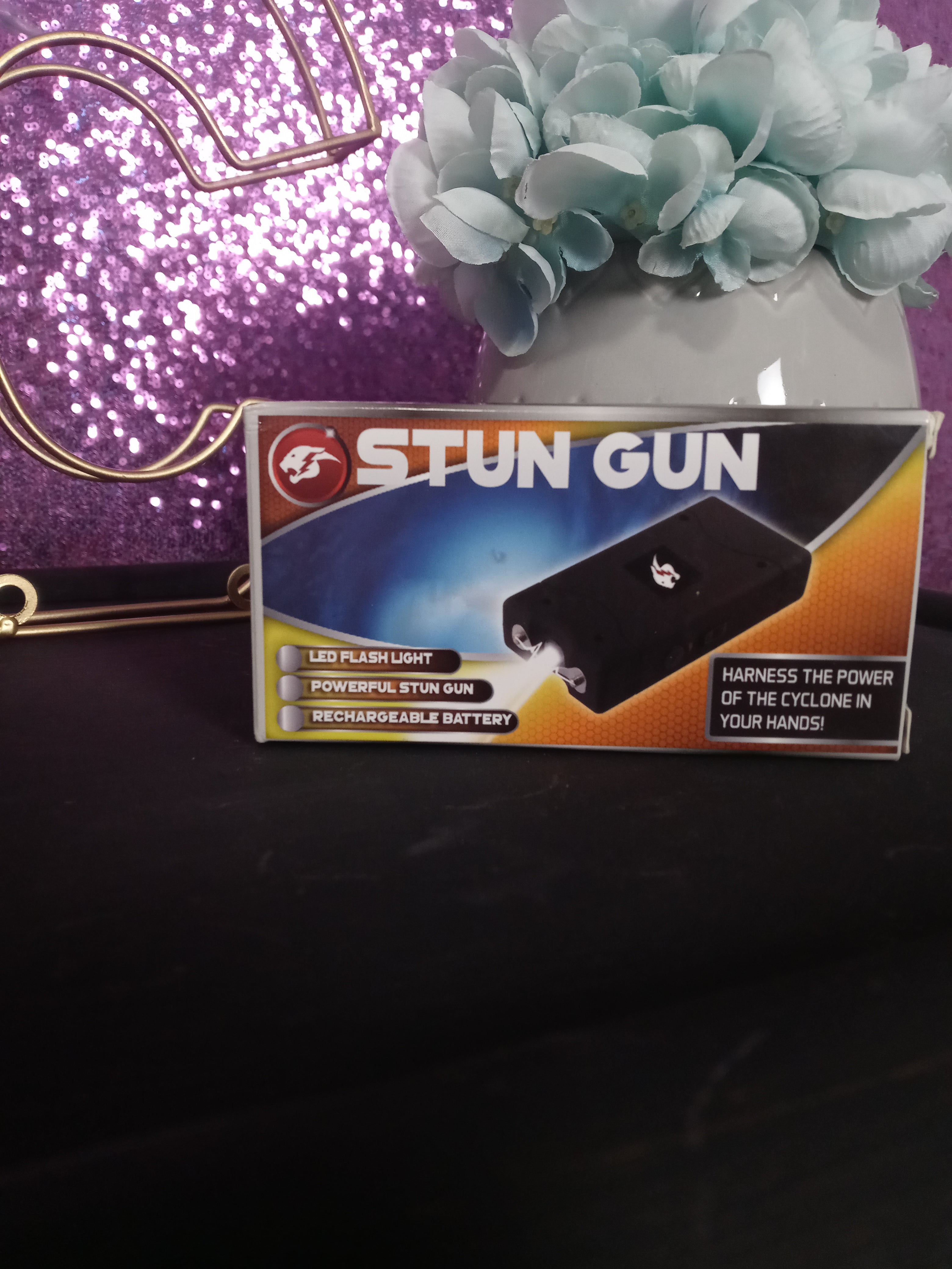 Safety Stun Gun